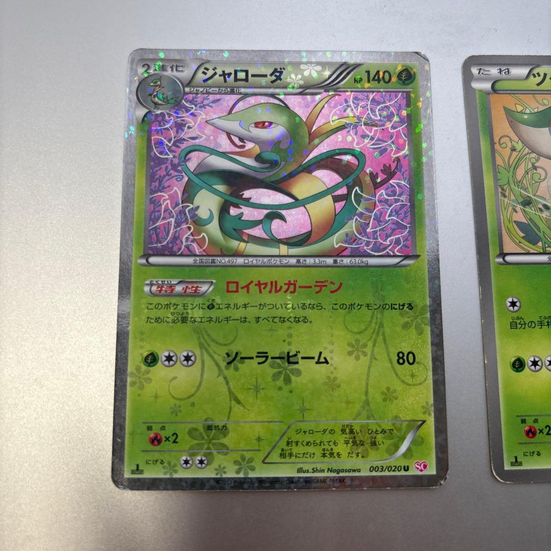 シャイニーコレクション