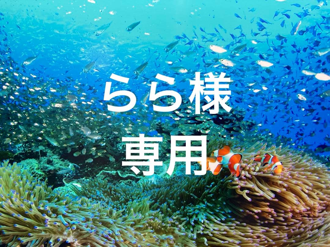 エンビロンモイスチャートーナー200ml モイスチャージェル2 ラドエンリッチ