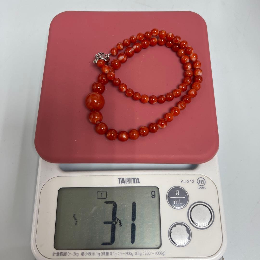 本血赤珊瑚　大玉ネックレス　31g 東Y8-0206☆1Fトサチ