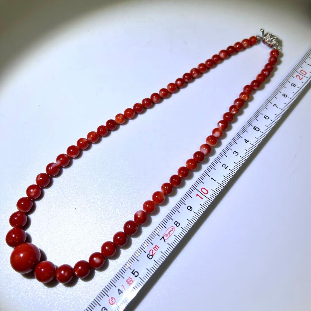 本血赤珊瑚　大玉ネックレス　31g 東Y8-0206☆1Fトサチ