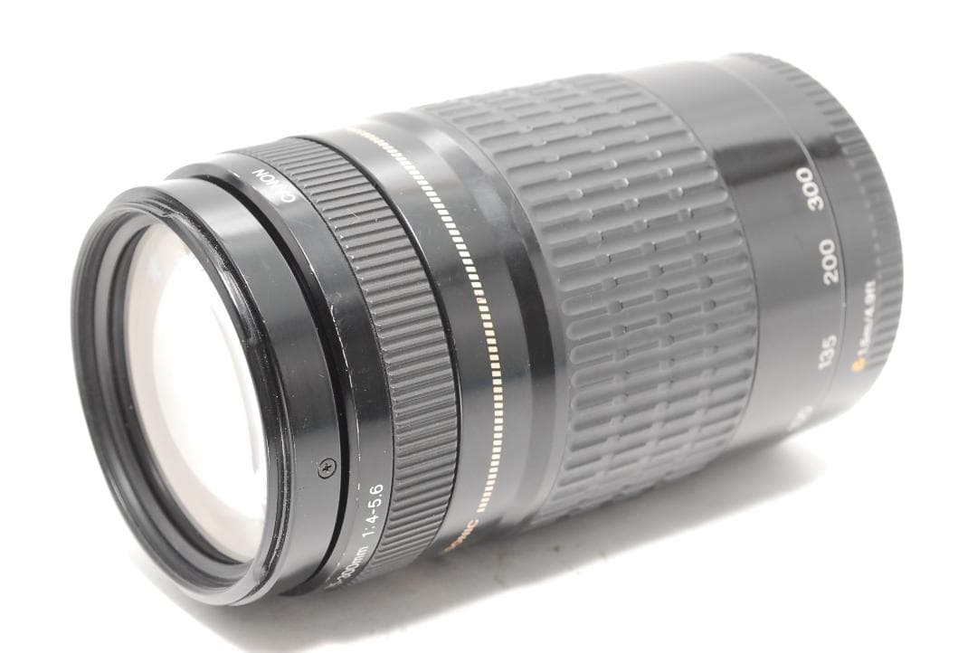 【作例あり】Canon EF 75-300mm 動作良好 軽量で扱いやすい