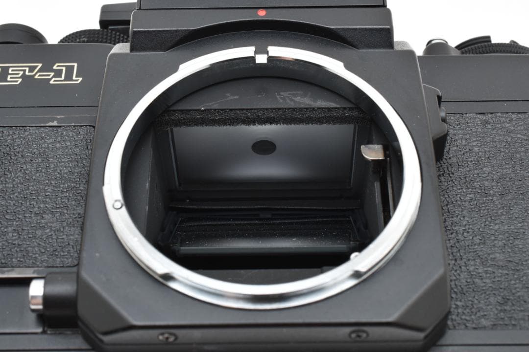キャノン　Canon New F-1 AEファインダー ボディ