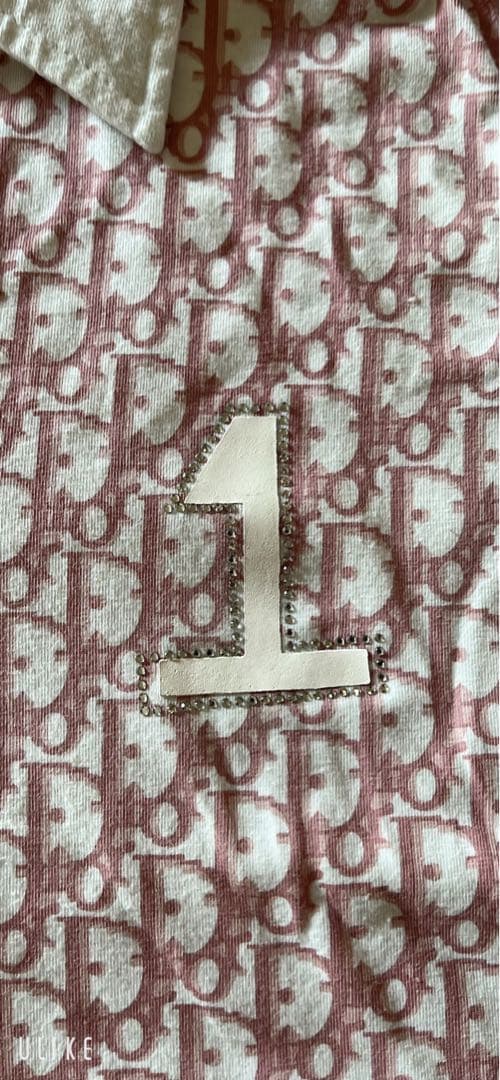 Christian Dior タンクトップ サイズS トロッター柄