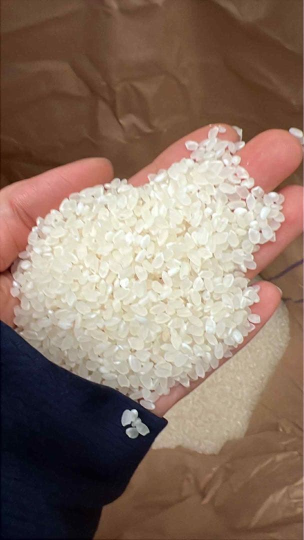 R7新米　コシヒカリ　30キロ　離島以外送料込み