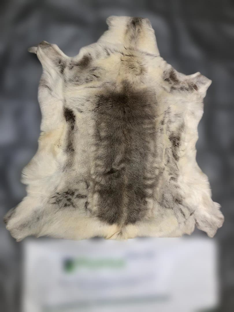 送料無料 POKKA トナカイ ムートン 天然本革 高級毛皮 251113