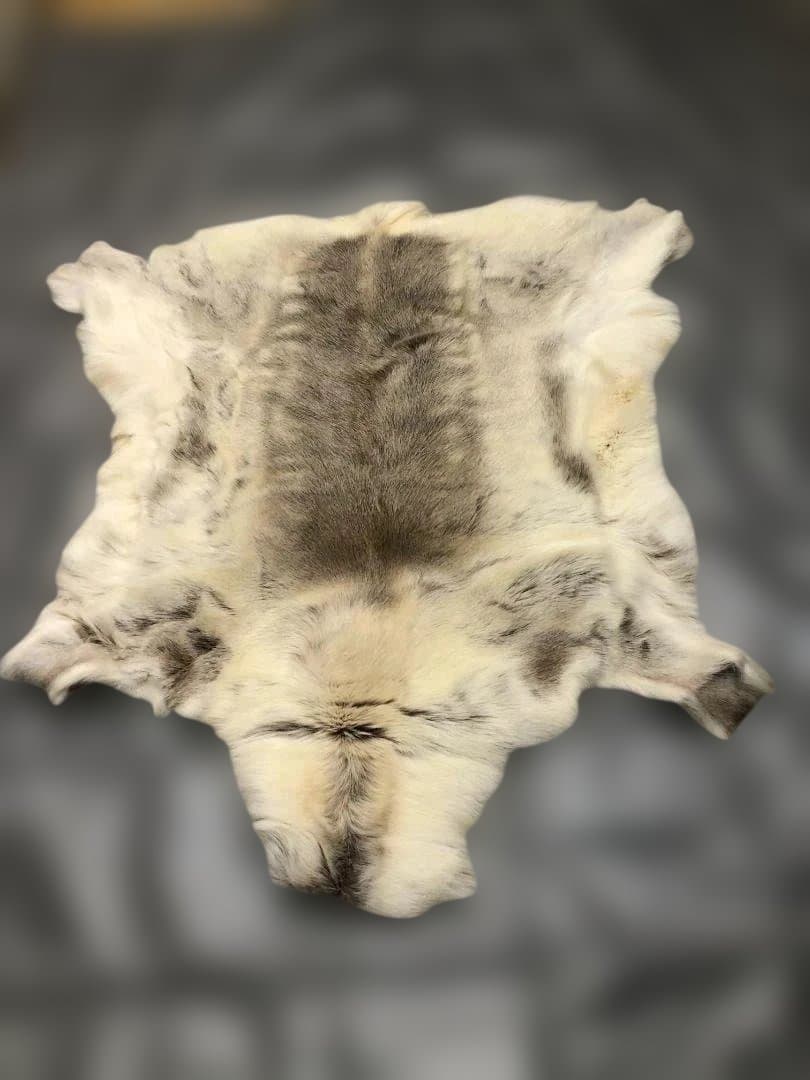 送料無料 POKKA トナカイ ムートン 天然本革 高級毛皮 251113