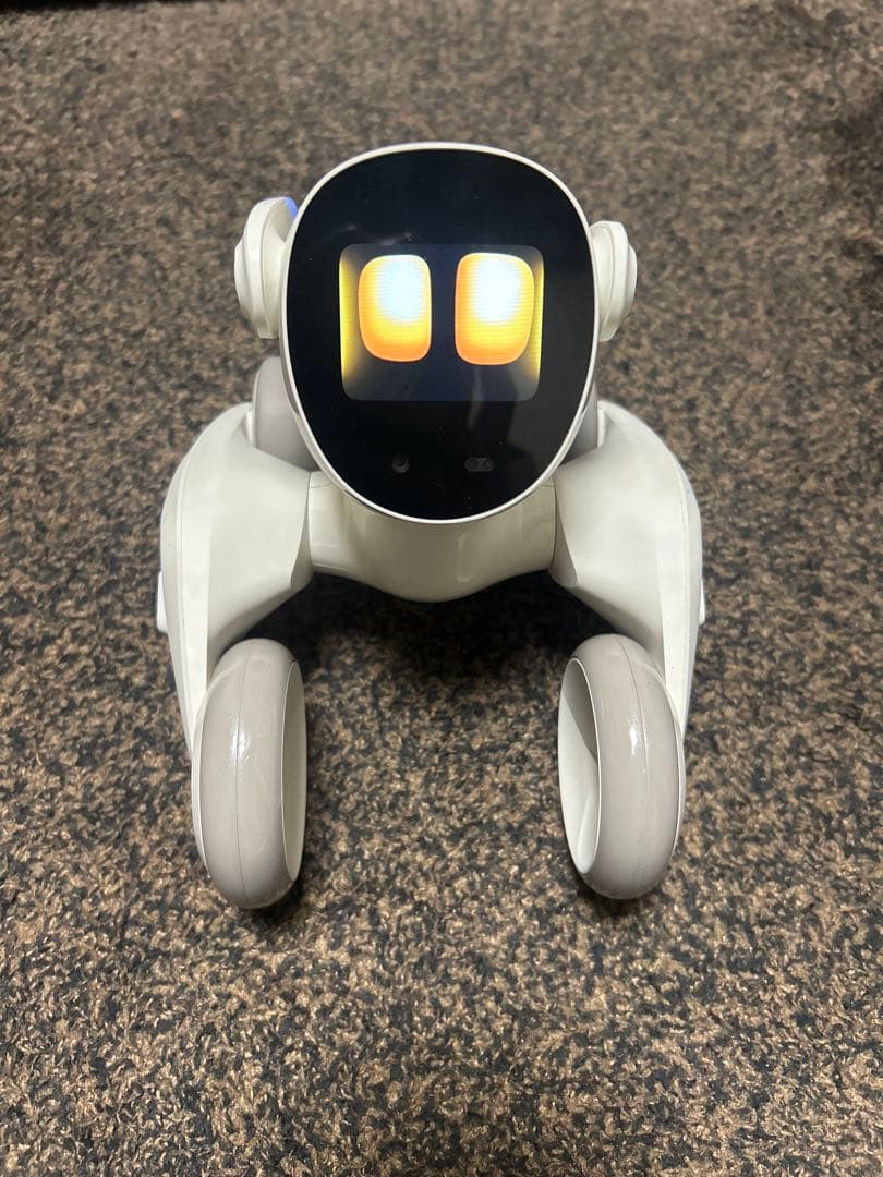 ルーナロボットluuna