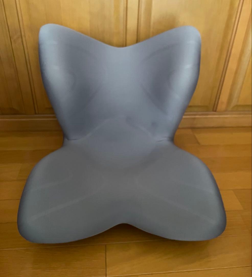 ★超美品★MTG Style PREMIUM スタイルプレミアム 姿勢矯正