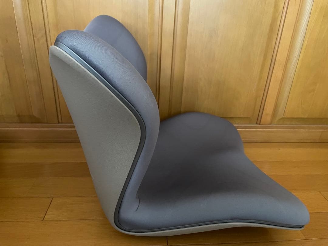 ★超美品★MTG Style PREMIUM スタイルプレミアム 姿勢矯正