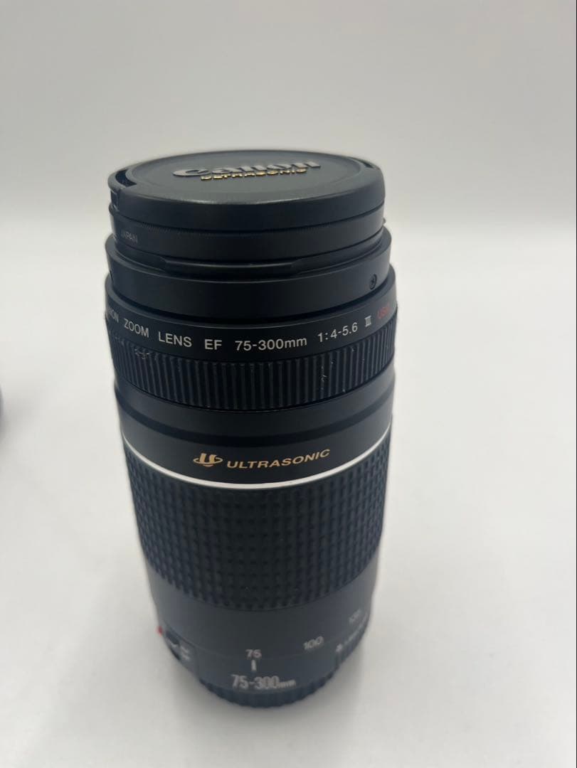 CANON EF 75-300mm 1:4-5.6 Ⅲ USM