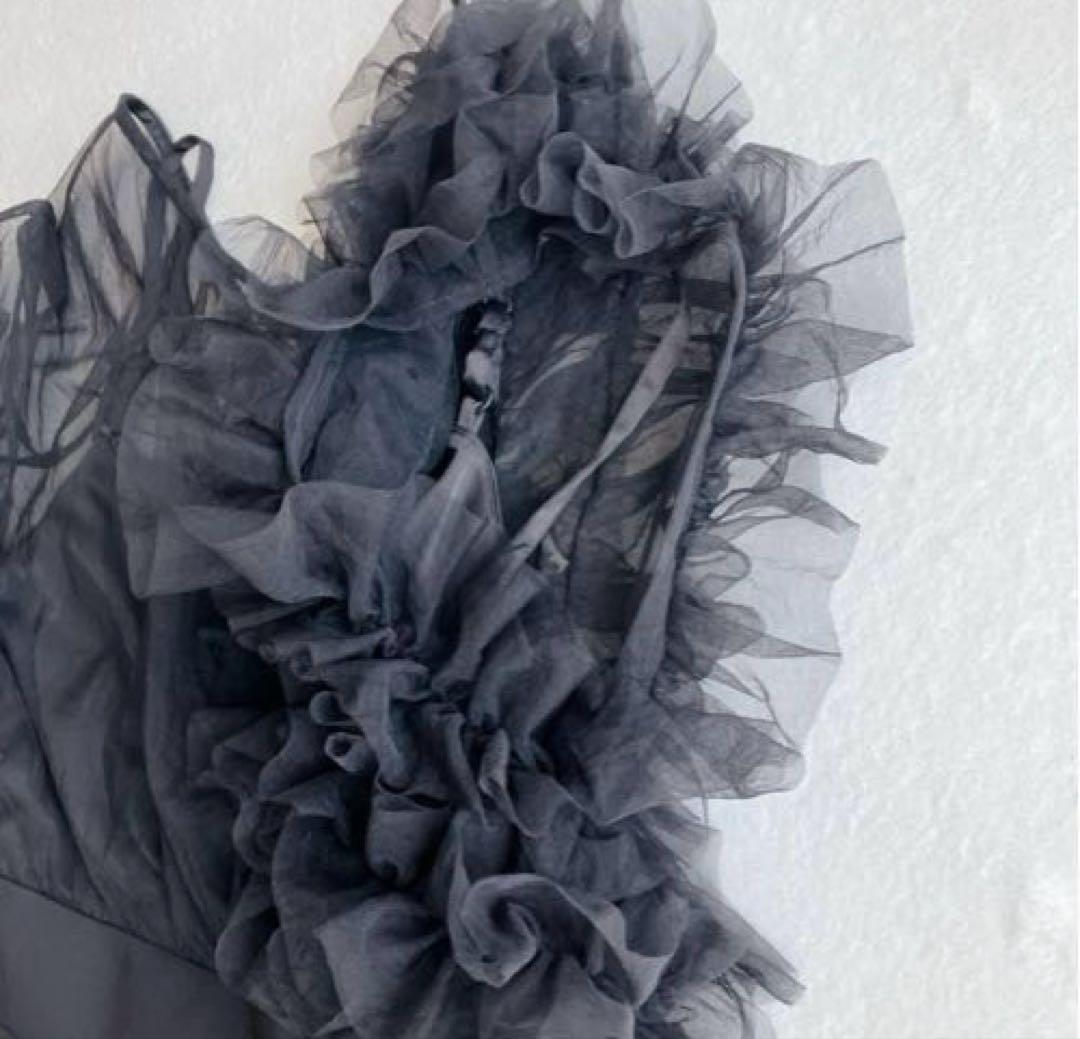 LAGUNAMOON チュールドッキングコンビネゾン