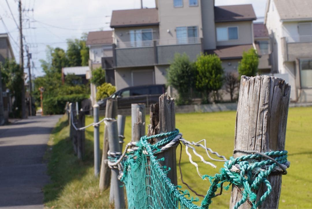 レンズ(単焦点) Ai NIKKOR 50mm F1.2S Nikon