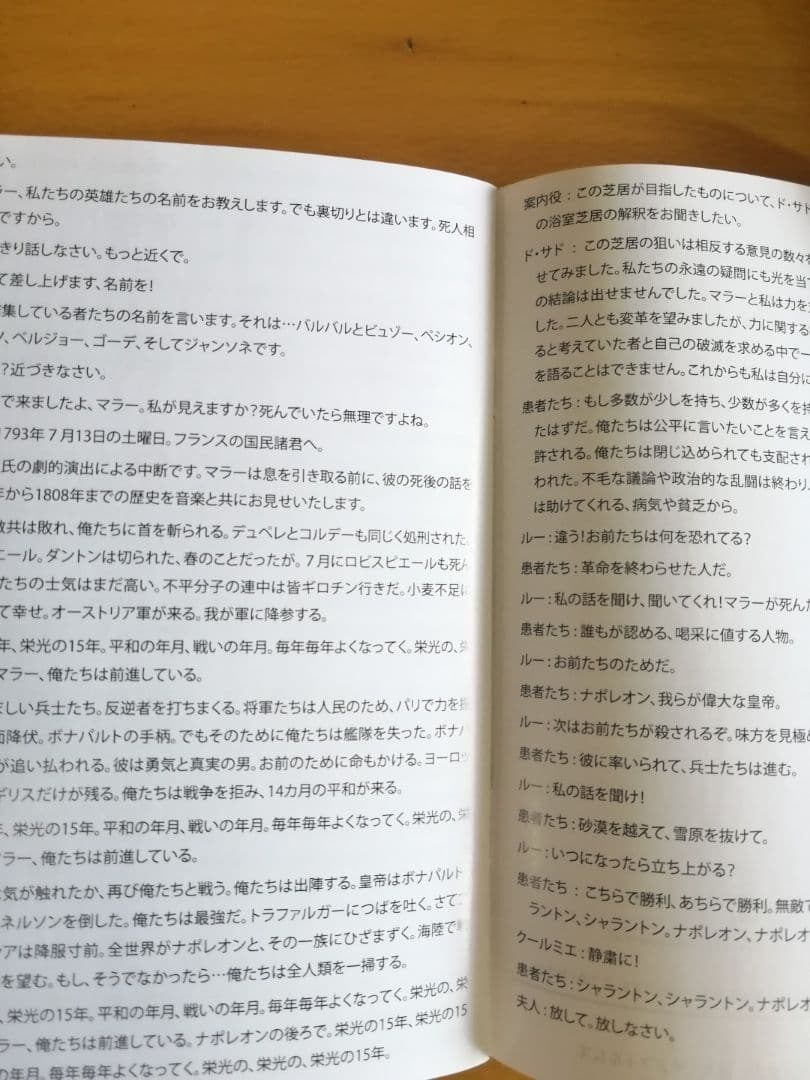 廃盤 マラー / サド DVD MARAT / SADE ピーターブルック