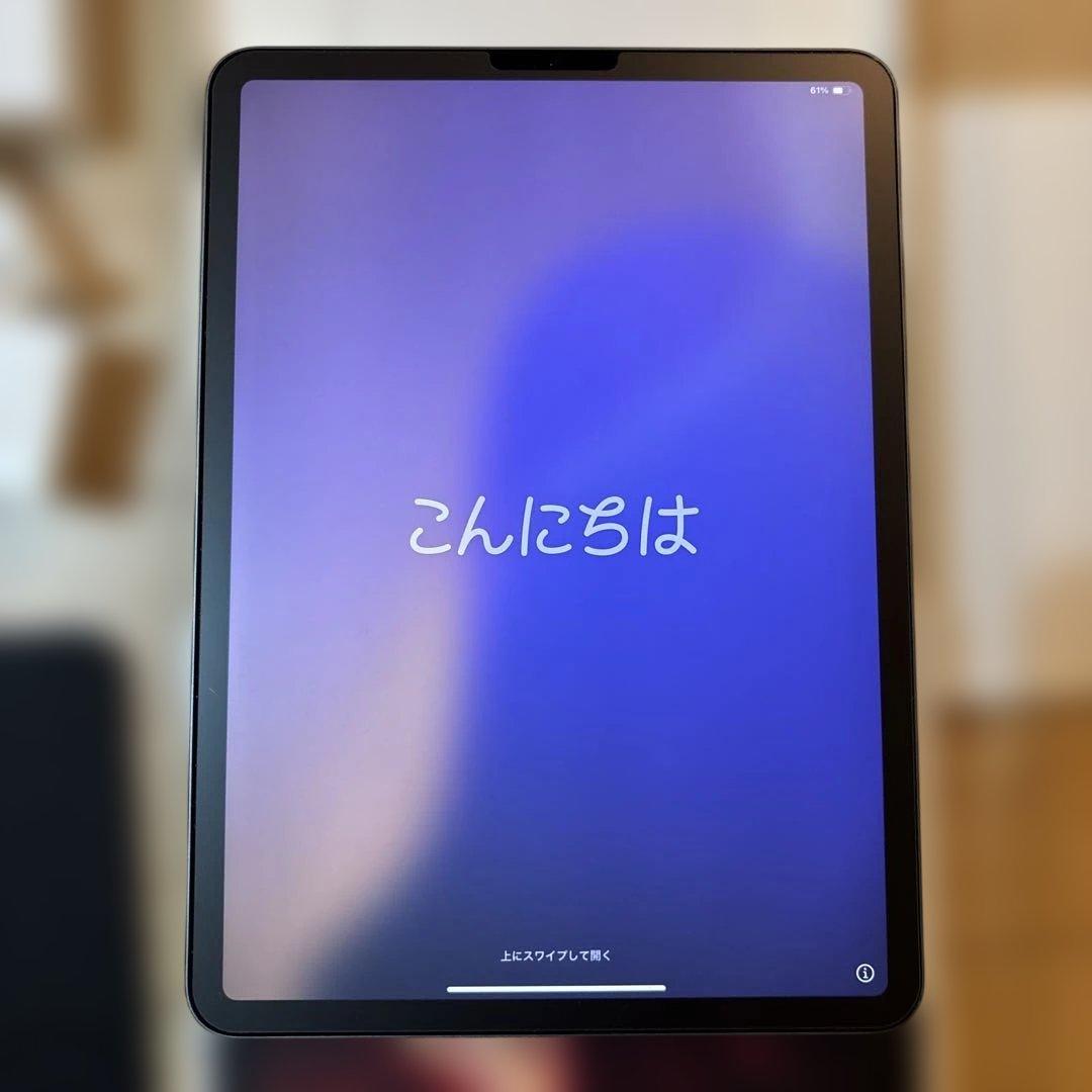 iPad Pro 11インチ 256GB Wi-Fi Apple Pencil付