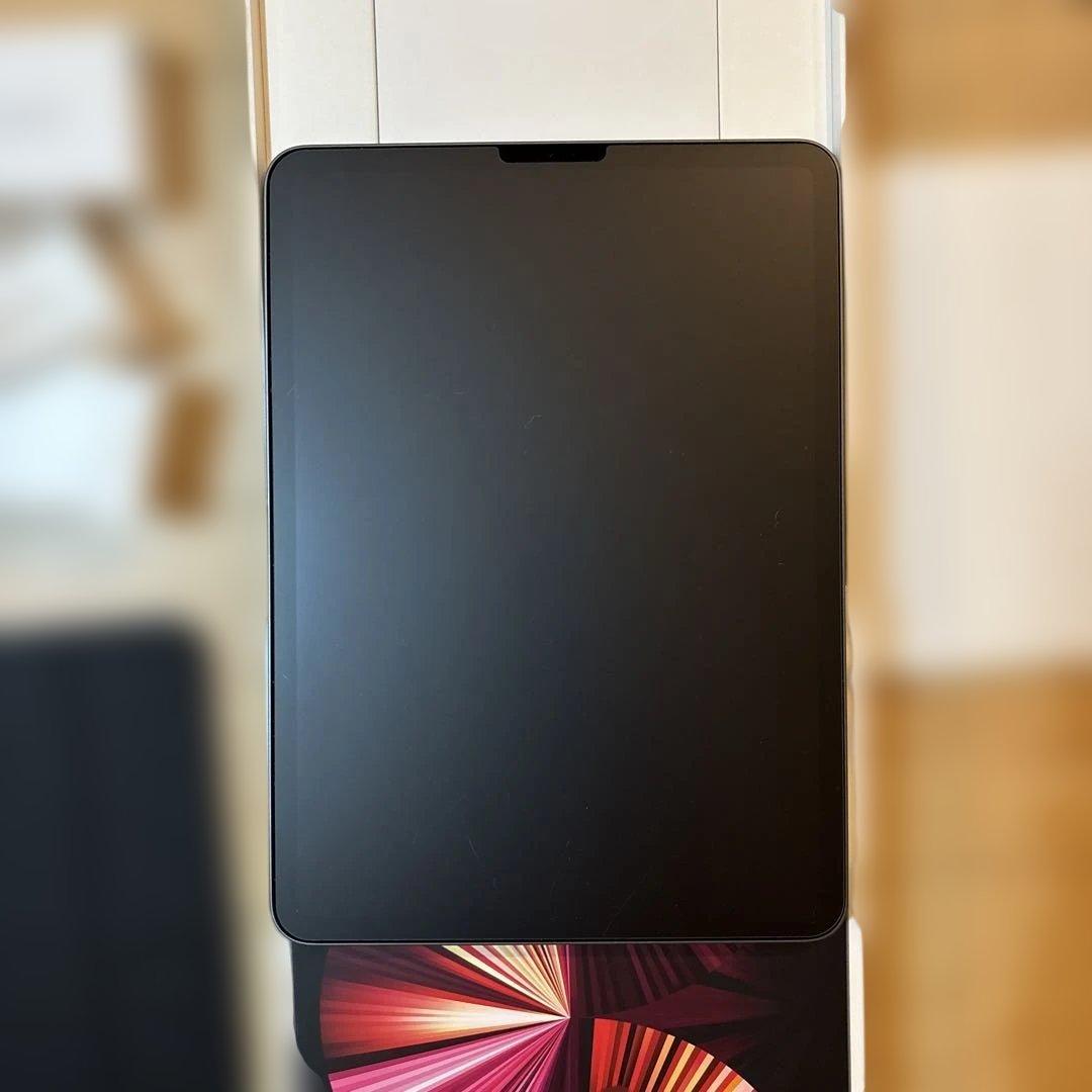 iPad Pro 11インチ 256GB Wi-Fi Apple Pencil付