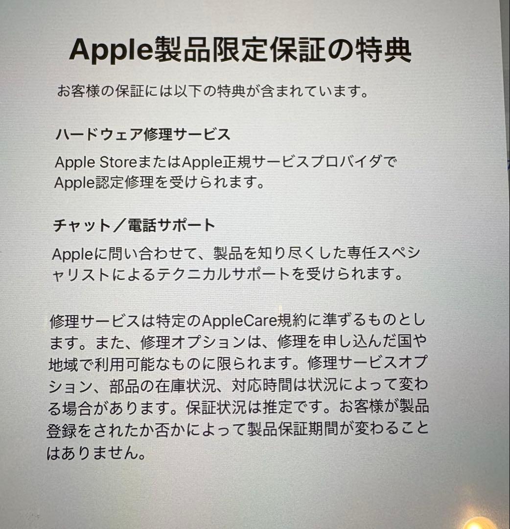 【キノシタ】Apple iPad mini A17 Pro 256GB