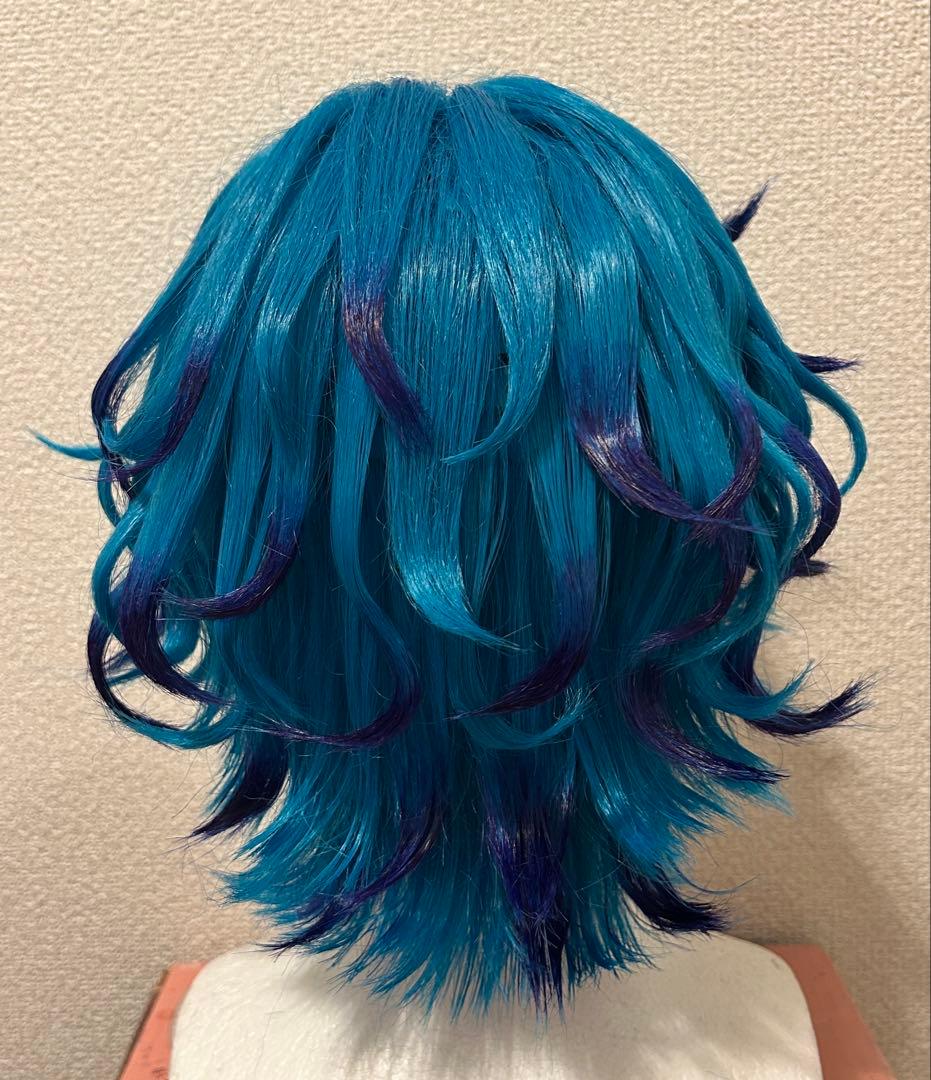 湊大瀬 カリスマ ウィッグ コスプレ コスプレ衣装