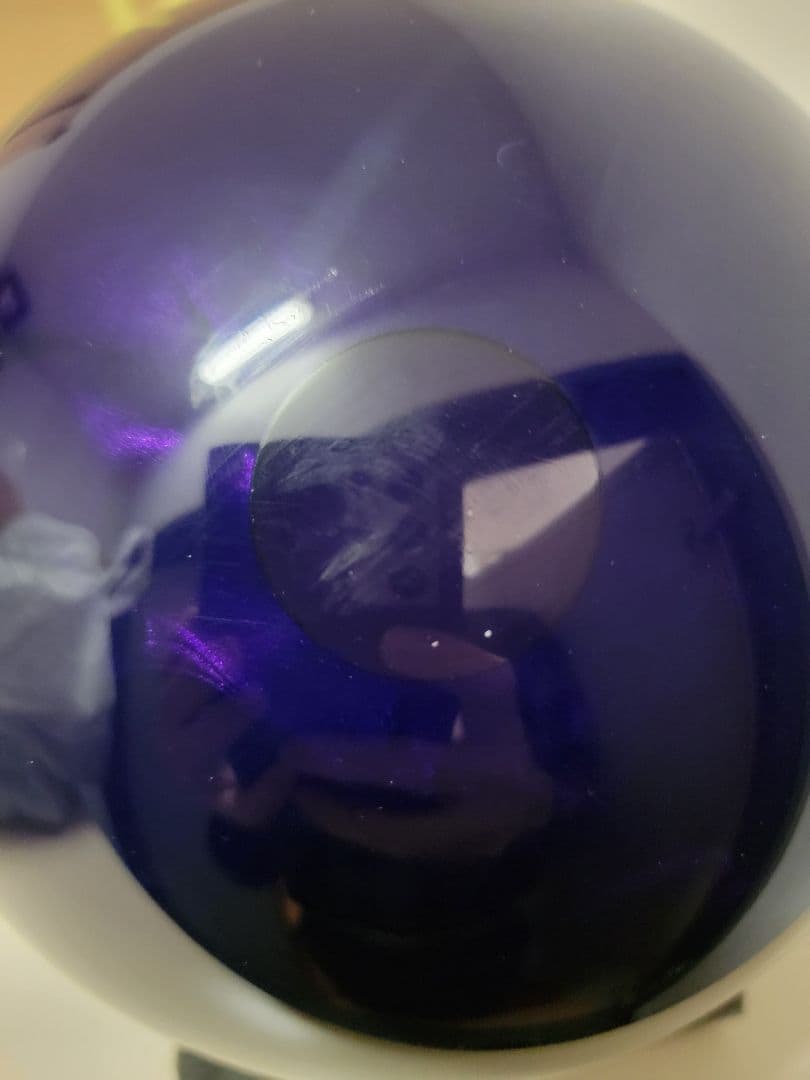 クルーズブラックベリー 14ポンド　プラグ済