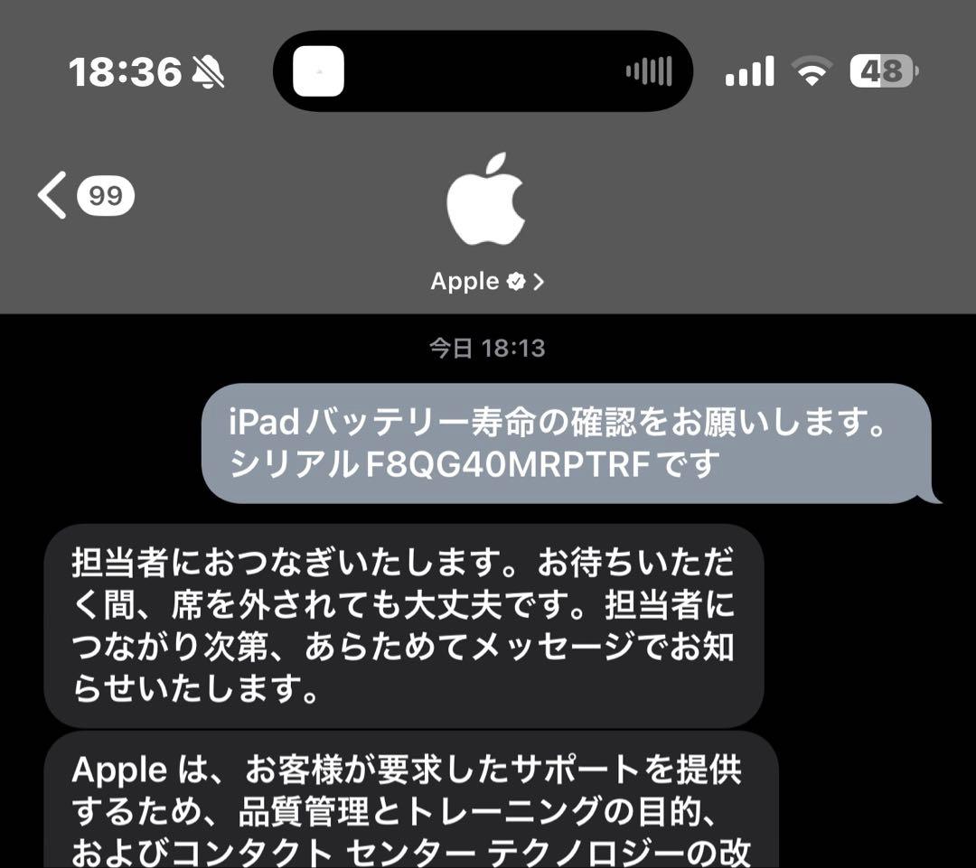 iPad Pro 11インチ 第二世代 スペースグレー 充電不良 本体箱付
