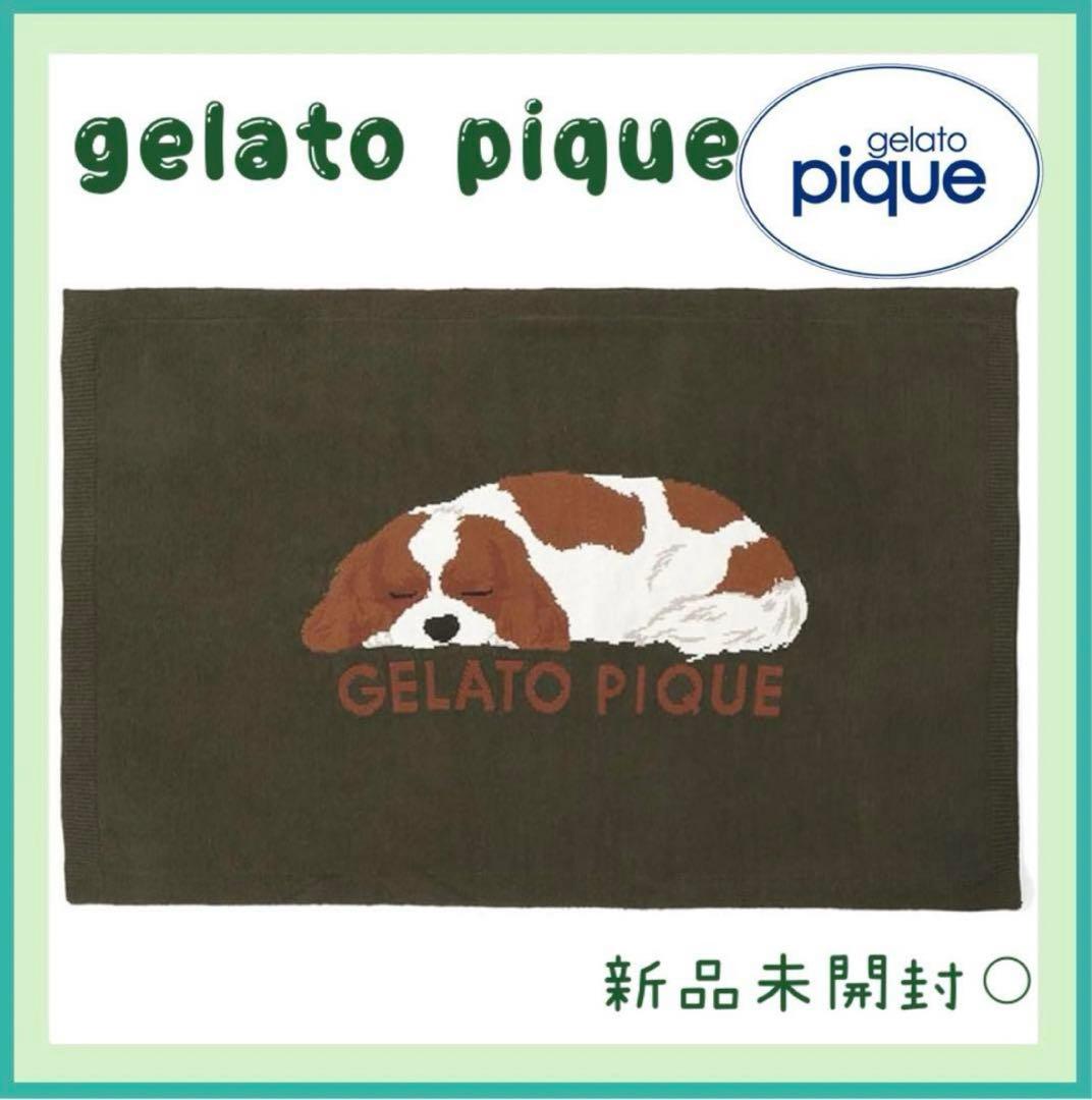 ジェラートピケ　ジャガードブランケット　キャバリアSLEEPING DOG