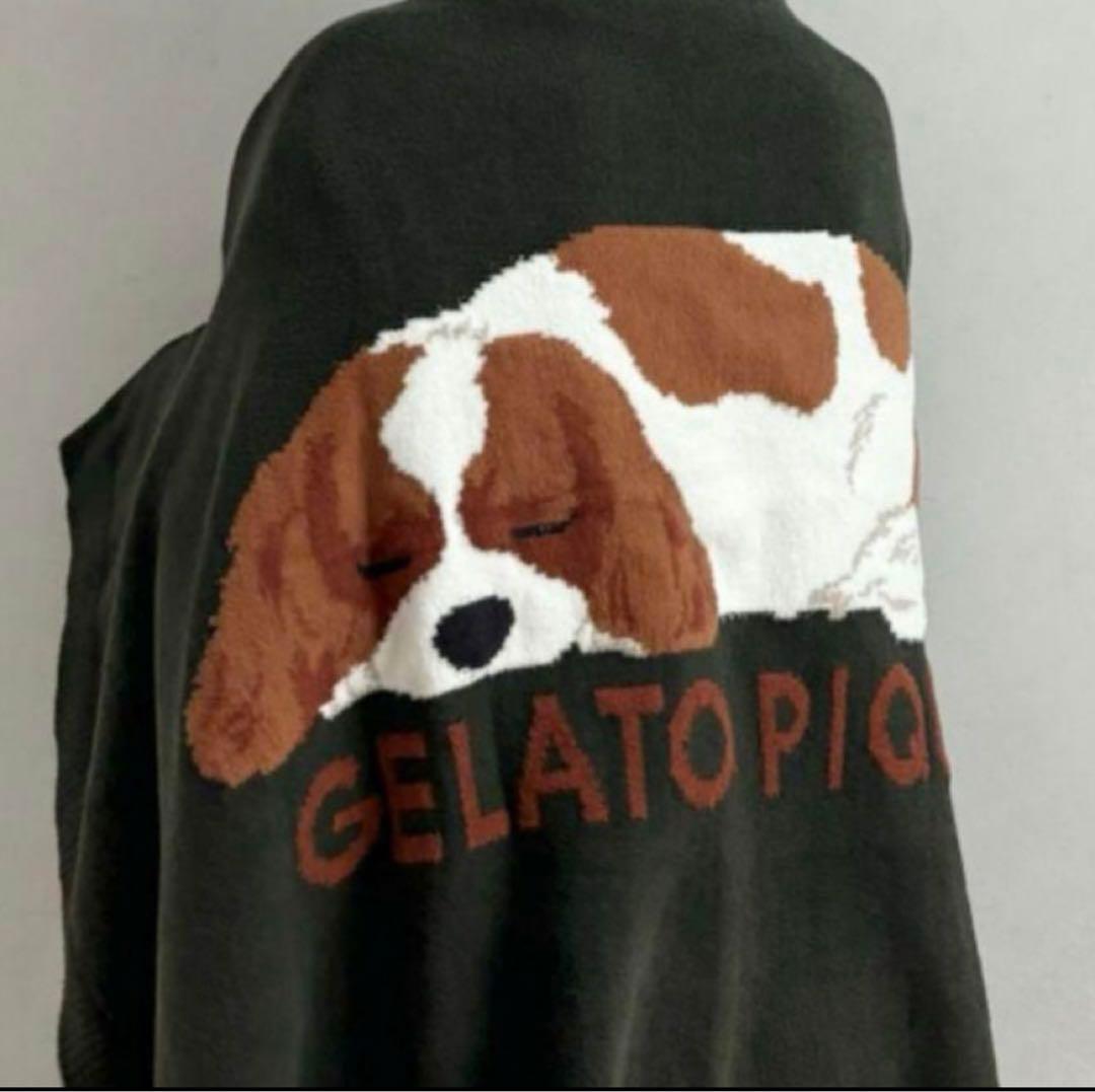 ジェラートピケ　ジャガードブランケット　キャバリアSLEEPING DOG