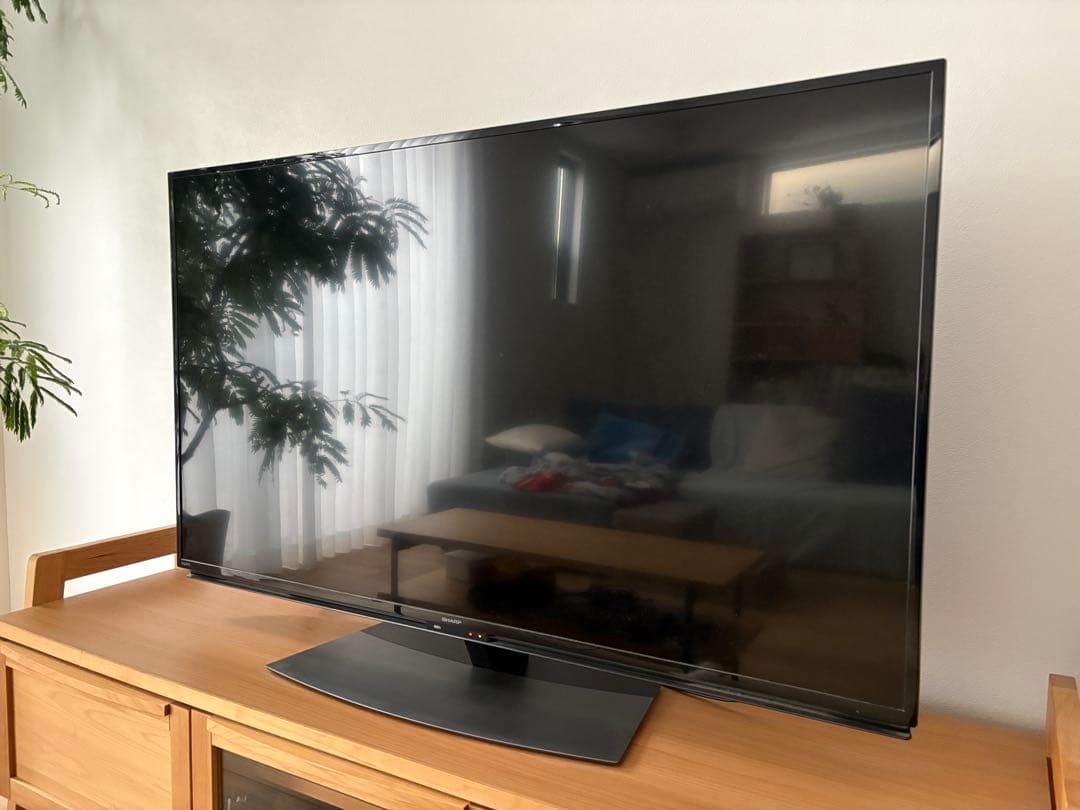 美品 SHARP 50型液晶テレビ 2019年製
