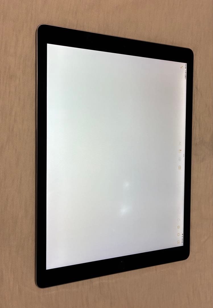 Apple iPad pro 12.9インチ　第一世帯