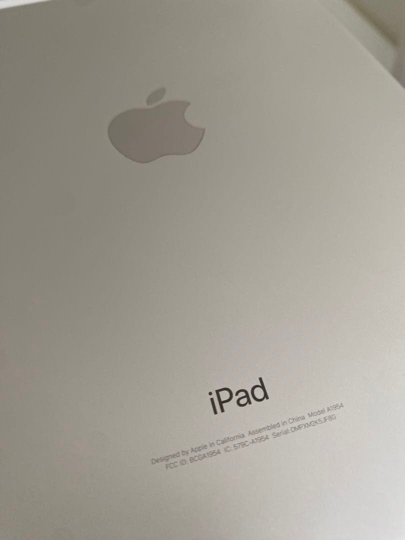 iPad本体 iPad Wi-Fi cellular 128GB silver