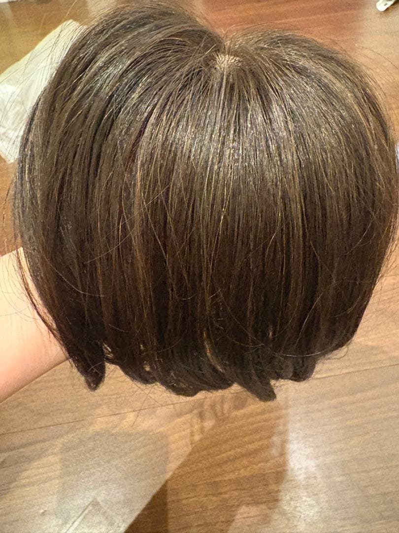 ウィッグYUKI カツラ 人毛40%本物