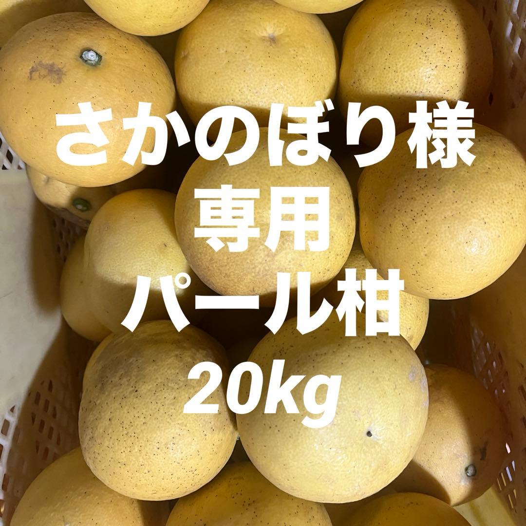 さかのぼりパール柑20kg