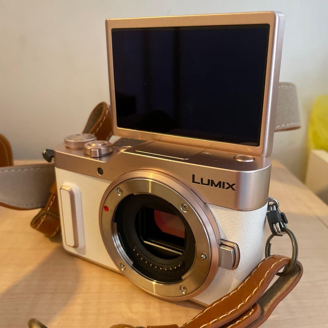 中古美品 パナソニック LUMIX G DC-GF10W 4K 専用カバー付き