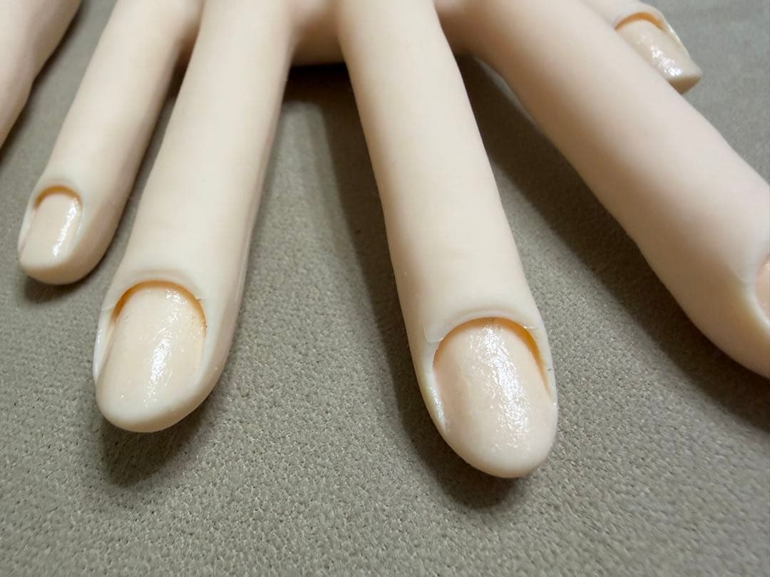 JNEC認定ハンドモデル