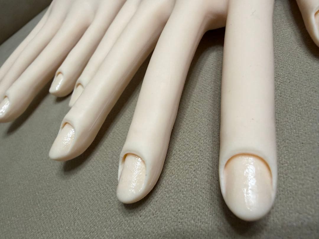 JNEC認定ハンドモデル