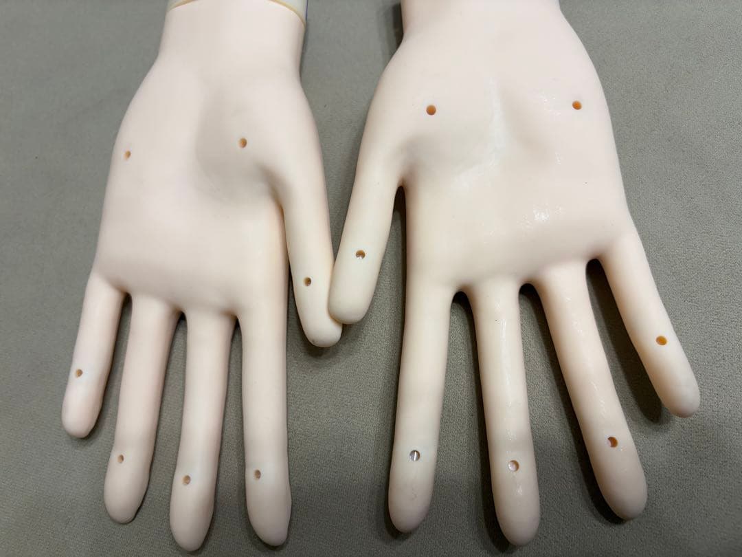 JNEC認定ハンドモデル