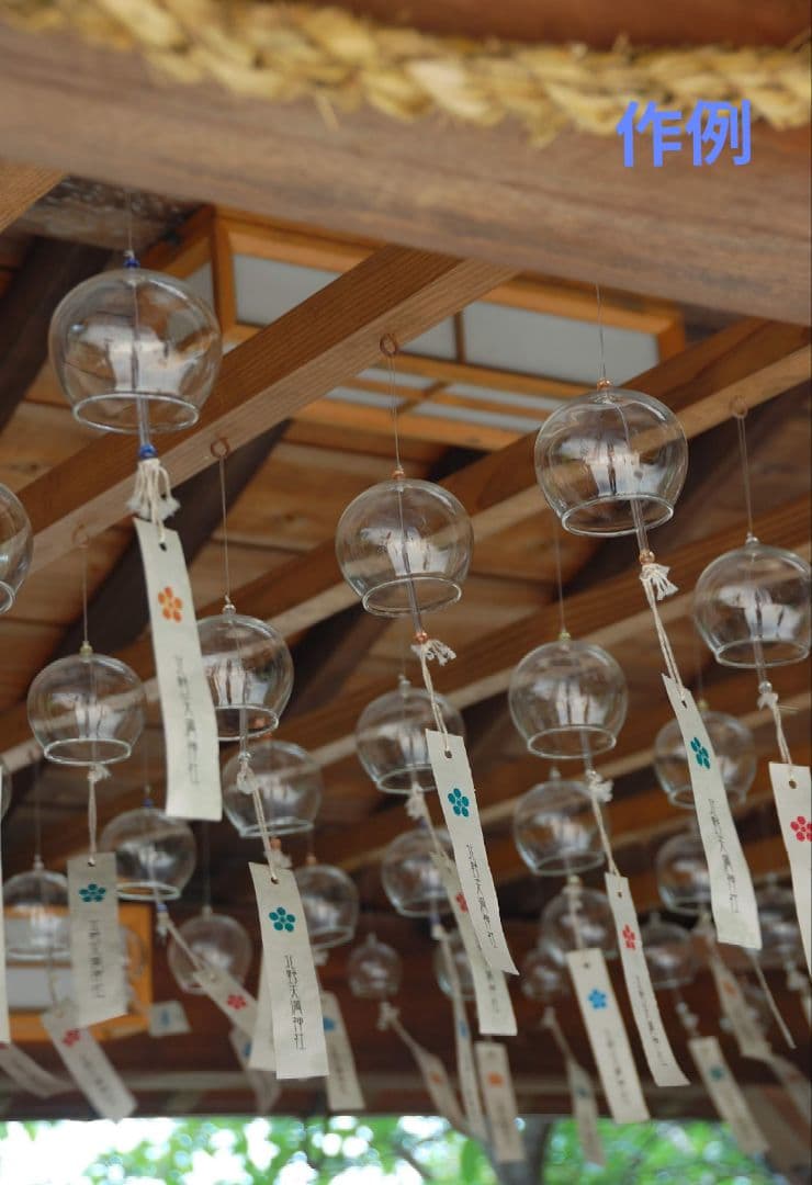 【光学美品】Nikon AF-S NIKKOR 18-200mm VR