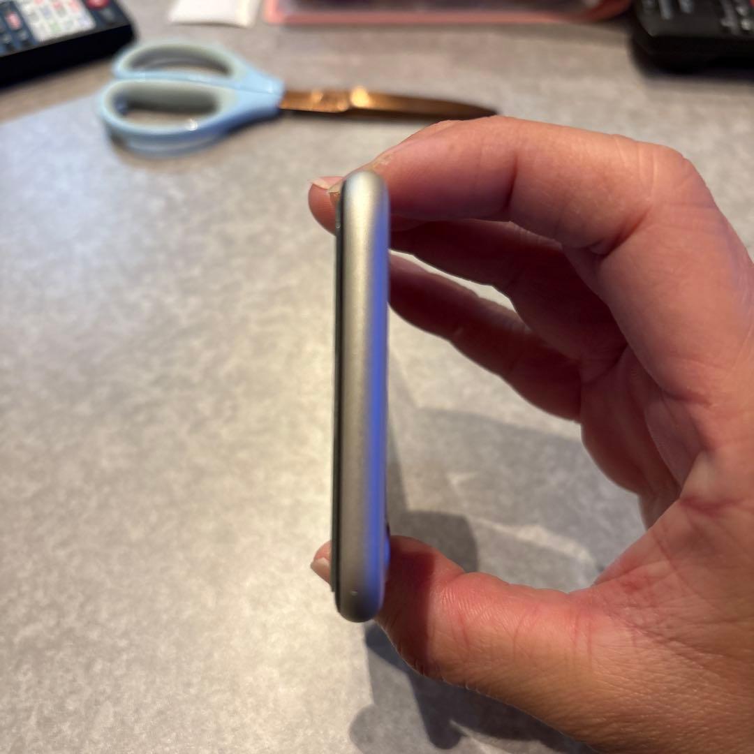 Apple iPhone SE 第3世代　SIMロックなし 値下げ交渉可