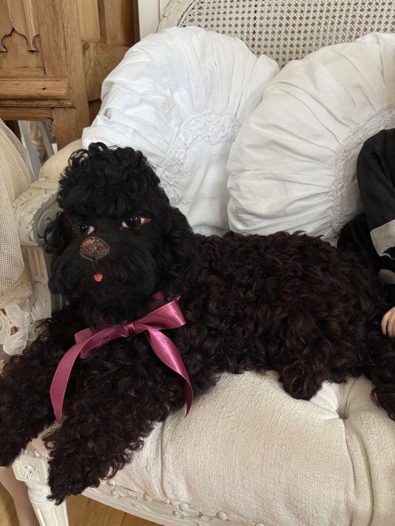 MAICATです☆ ありがとうございます(^^)パジャマドッグ