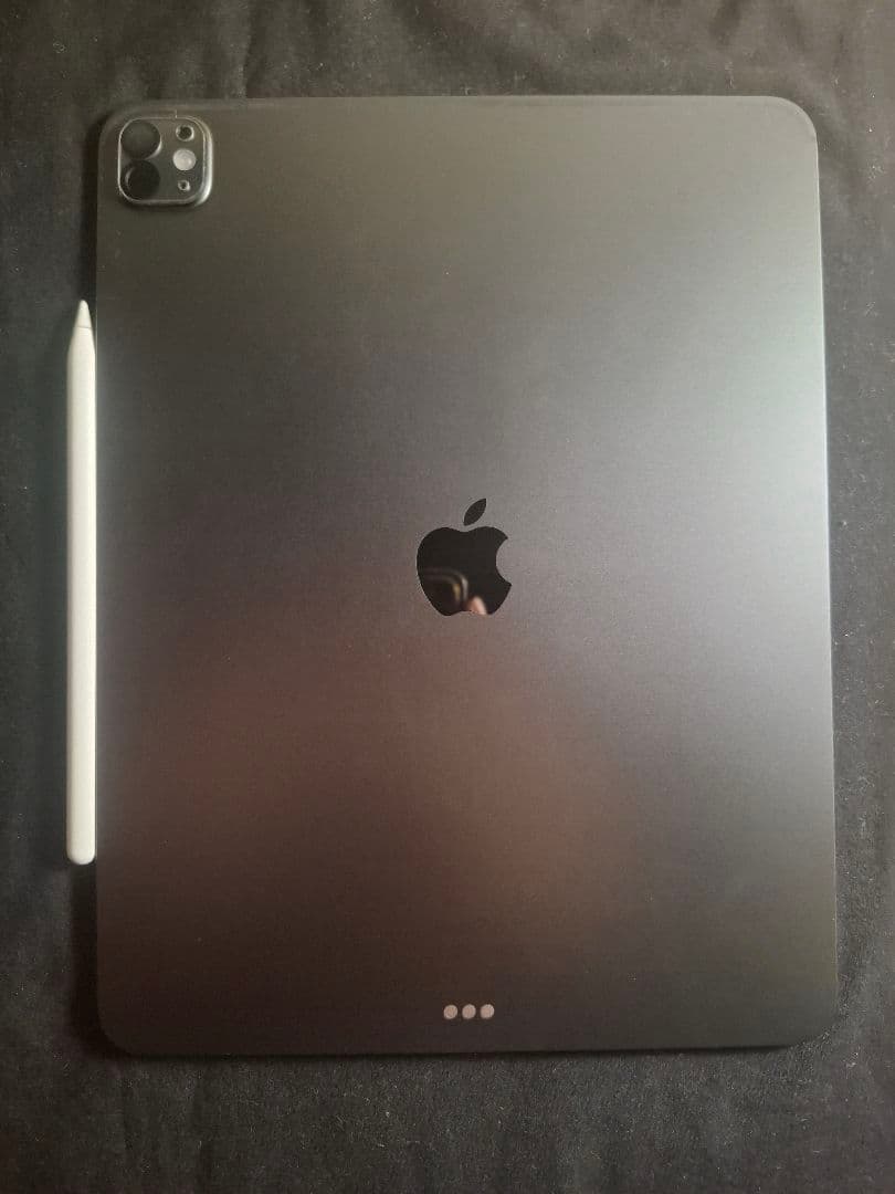 iPad本体 Apple iPad Pro m4 Wi-Fi 512GB