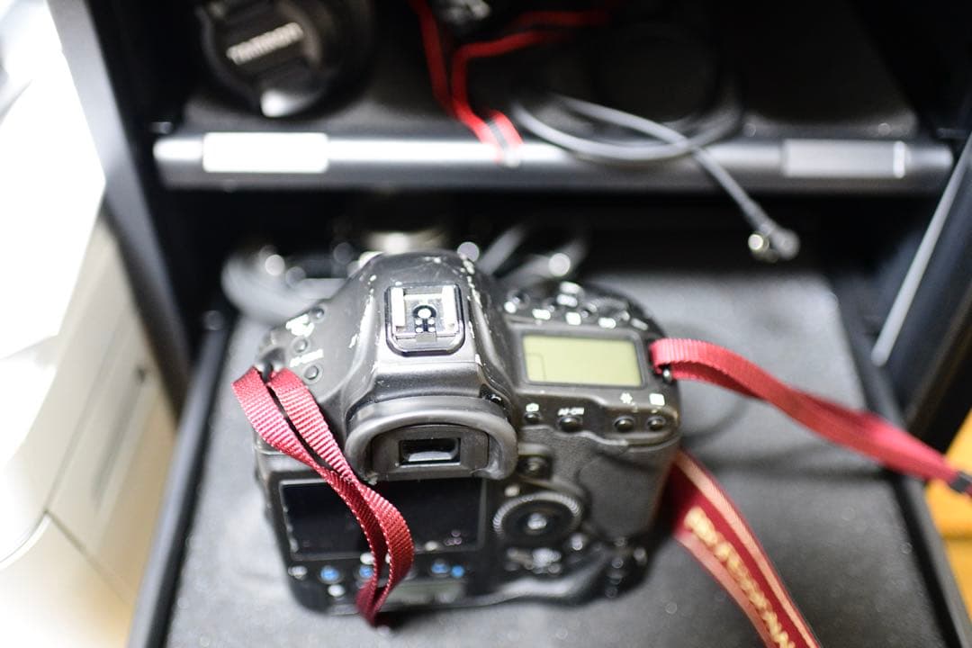 o*6様 [完全動作、131000回]Canon EOS 1DX 完全動作品、付