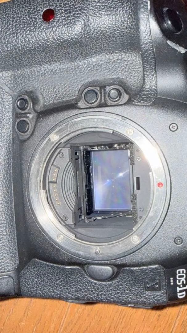 o*6様 [完全動作、131000回]Canon EOS 1DX 完全動作品、付