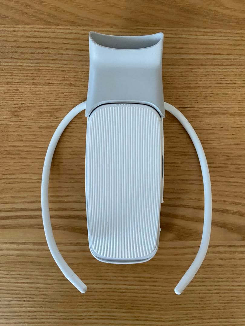 ソニー SONY REON POCKET 5 レオンポケット5