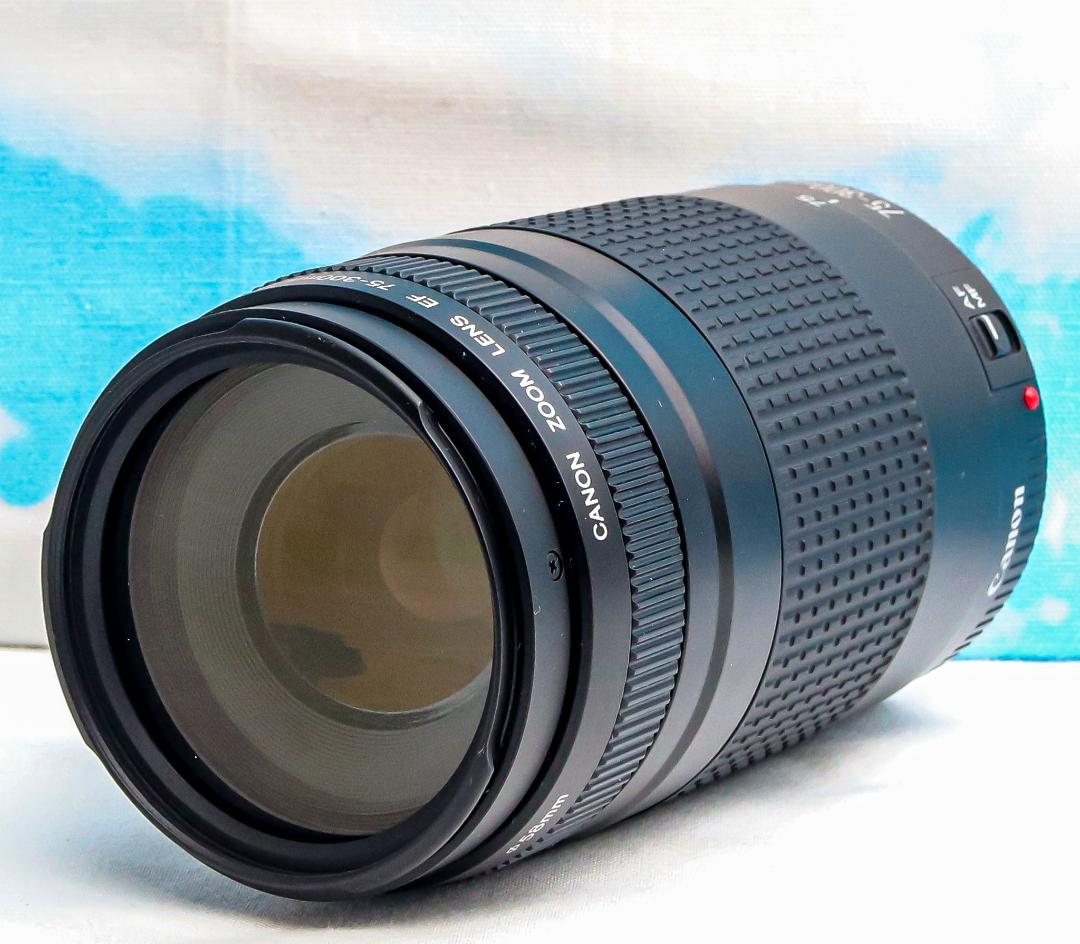キャノン Canon EF 75-300mm⭐️想い出の瞬間！⭐️超望遠レンズ