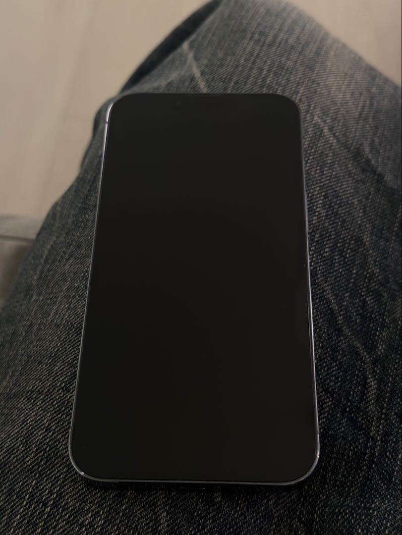 iPhone 13 Pro 256gb シエラブルー　動作確認済み