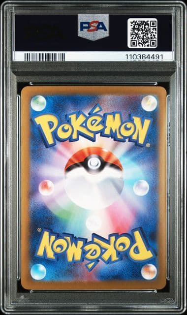 【PSA10連番】Nのゾロアークex SAR ＆ NのゾロアAR