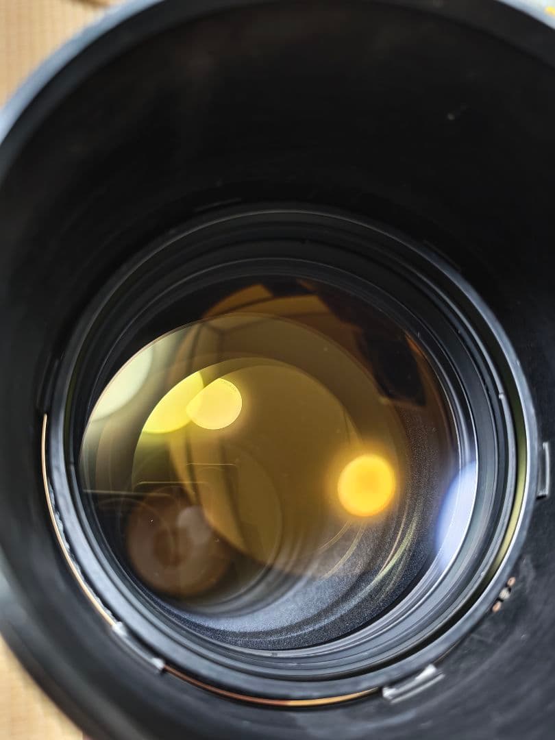 な*が様 Nikon ED AF-S NIKKOR 600mm F4 D II