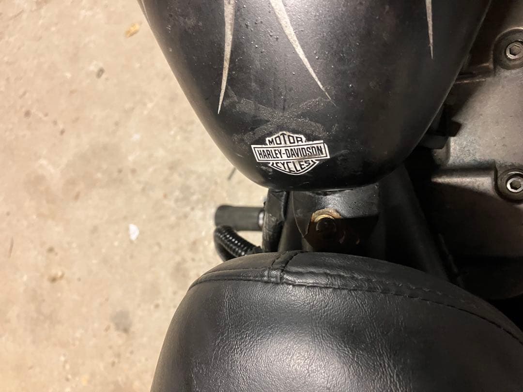 XLH883 タンク　ピンスト　フレア