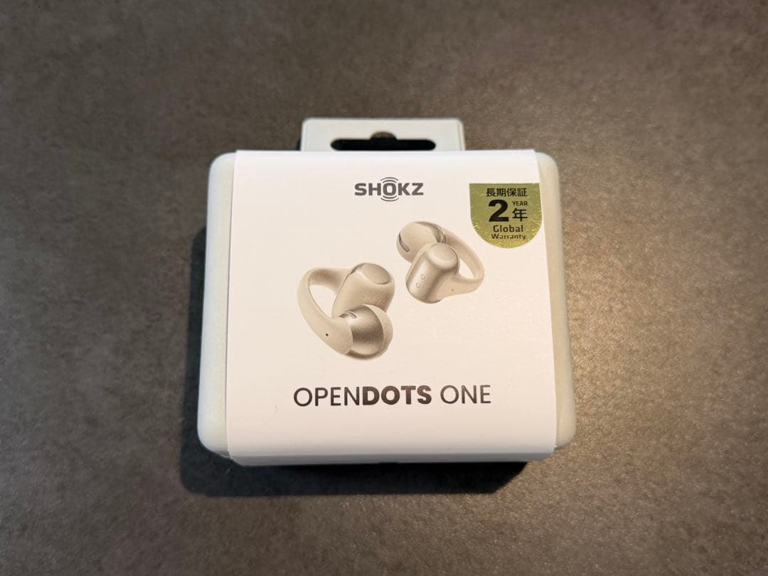 SHOKZ OPENDOTS ONE ワイヤレスイヤホン グレー