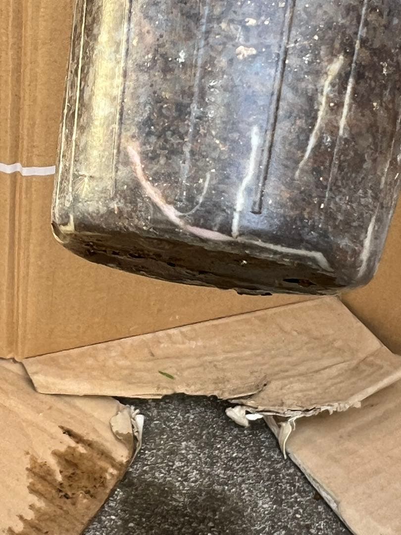 「モン&ミーママ」切り花品種バラ苗　レアバラ　4点