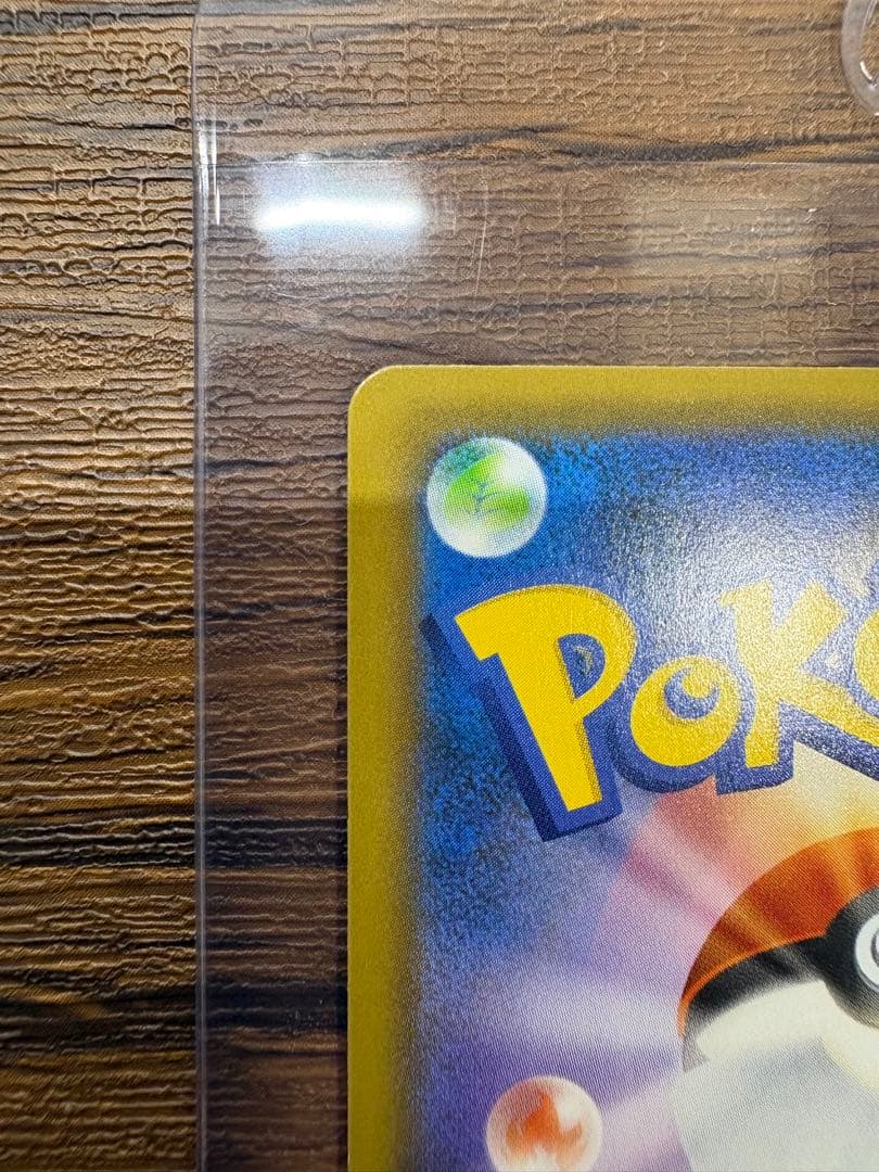 カメックス　プロモカードパック 25th ANNIVERSARY