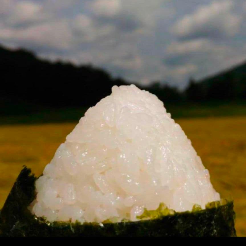 山口県産 コシヒカリ 白米3kg+玄米3kg 計6kg 長谷川さん専用